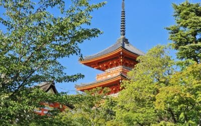 Record de fréquentation touristique au Japon en juillet